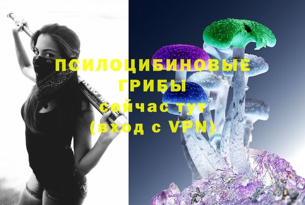 ешки Алзамай