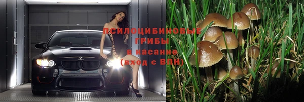 тгк Армянск